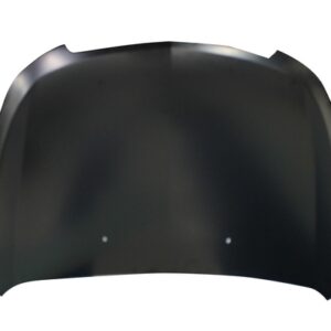 CHEVROLET CRUZE 2009 CAPOT ( CHAPA )