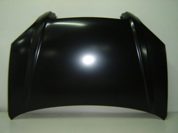 HYUNDAI TUCSON 2004 CAPOT