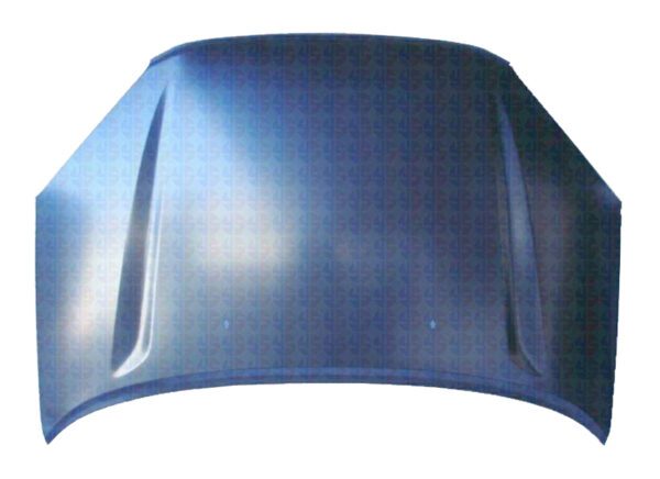 TOYOTA RAV4 2001 CAPOT