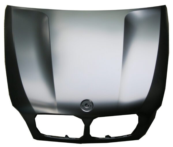 BMW X5 E70 2006 CAPOT ( CHAPA )