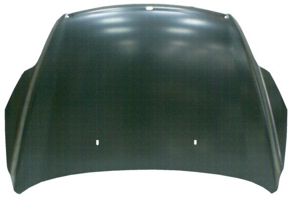 FORD FOCUS 2008 CAPOT