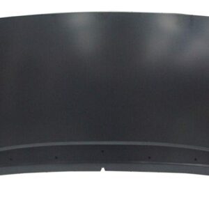 PEUGEOT 1007 2004 CAPOT