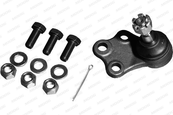 ROTULA SUSPENSION - TUR (1) - NIBJ5200