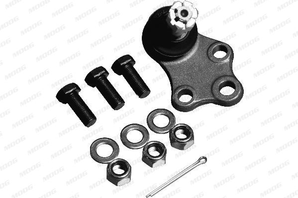 ROTULA SUSPENSION - TUR (1) - NIBJ5199