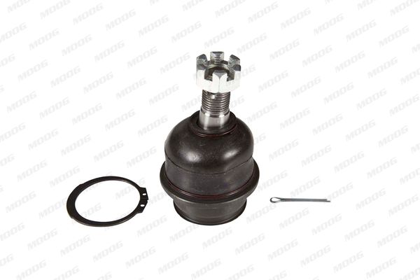 ROTULA SUSPENSION - TUR (2) - TOBJ8834