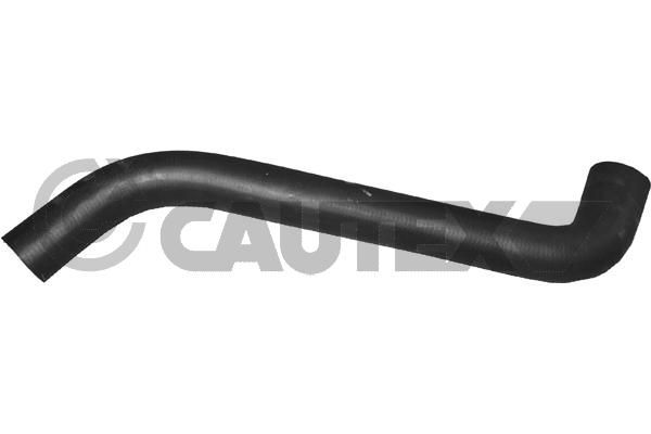 MANGUITO INFERIOR RADIADOR, SIN A/A - 16312