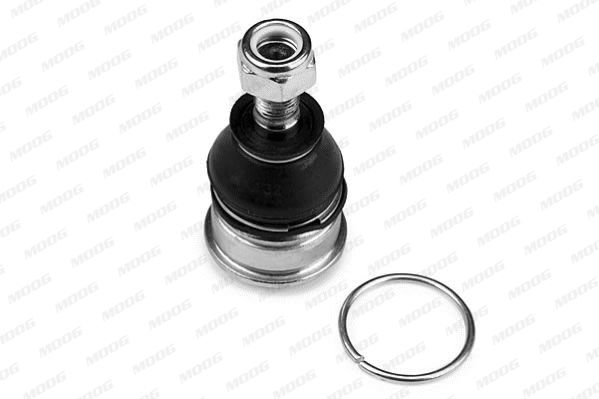 ROTULA SUSPENSION - TUR (2) - NIBJ1256