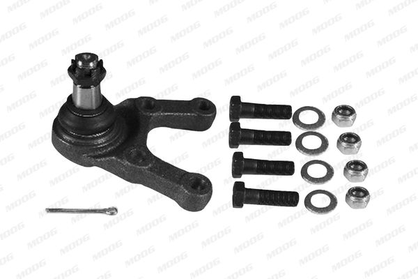 ROTULA SUSPENSION - TUR (2) - HYBJ1658