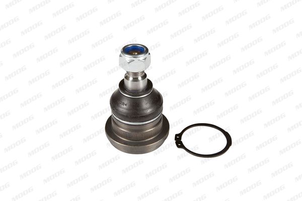 ROTULA SUSPENSION - TUR (2) - MIBJ0350