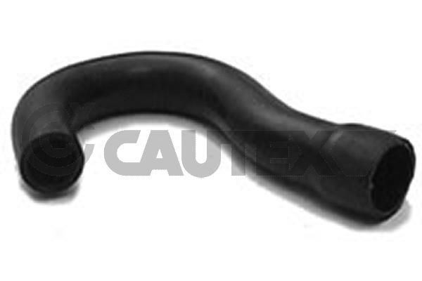 MANGUITO SUPERIOR RADIADOR, SIN A/A - 186022