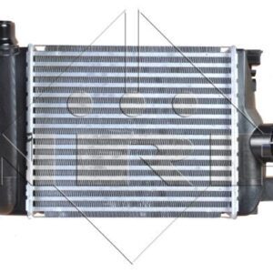 RADIADOR DE AIRE DE ADMISION - 30379