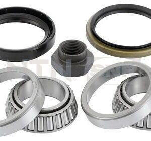 SNR KITS DE RODAMIENTO DE RUEDA - R15219