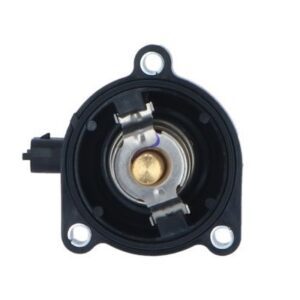 NRF TERMOSTATO - 725024