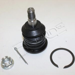 REDLINE RÃ“TULA - 40TO161