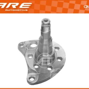 MANGUETA RUEDA TRAS. DER. SEAT IBI - 6054