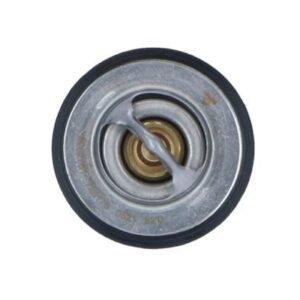 NRF TERMOSTATO - 725176