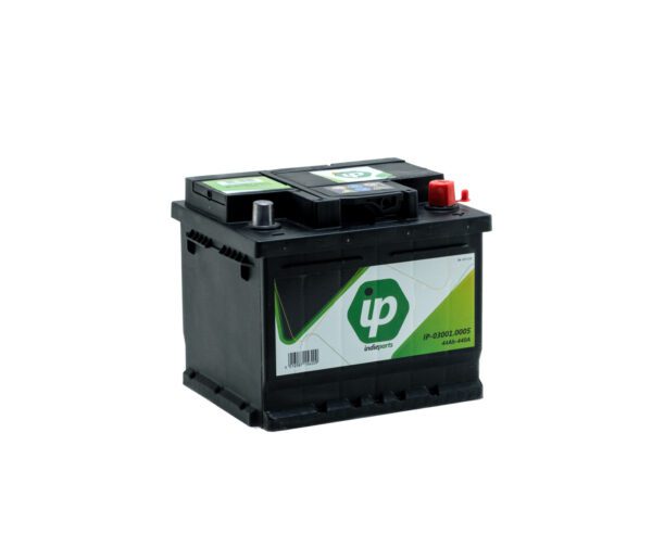IP BAT05 // 44AH // 207X175X175 +DE - IP030010005